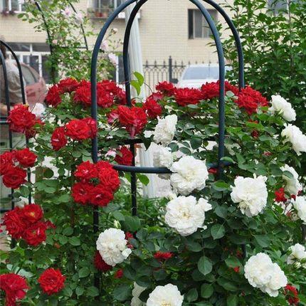 LETOU - 乐投(中文)官方网站