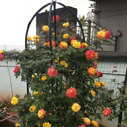 LETOU - 乐投(中文)官方网站